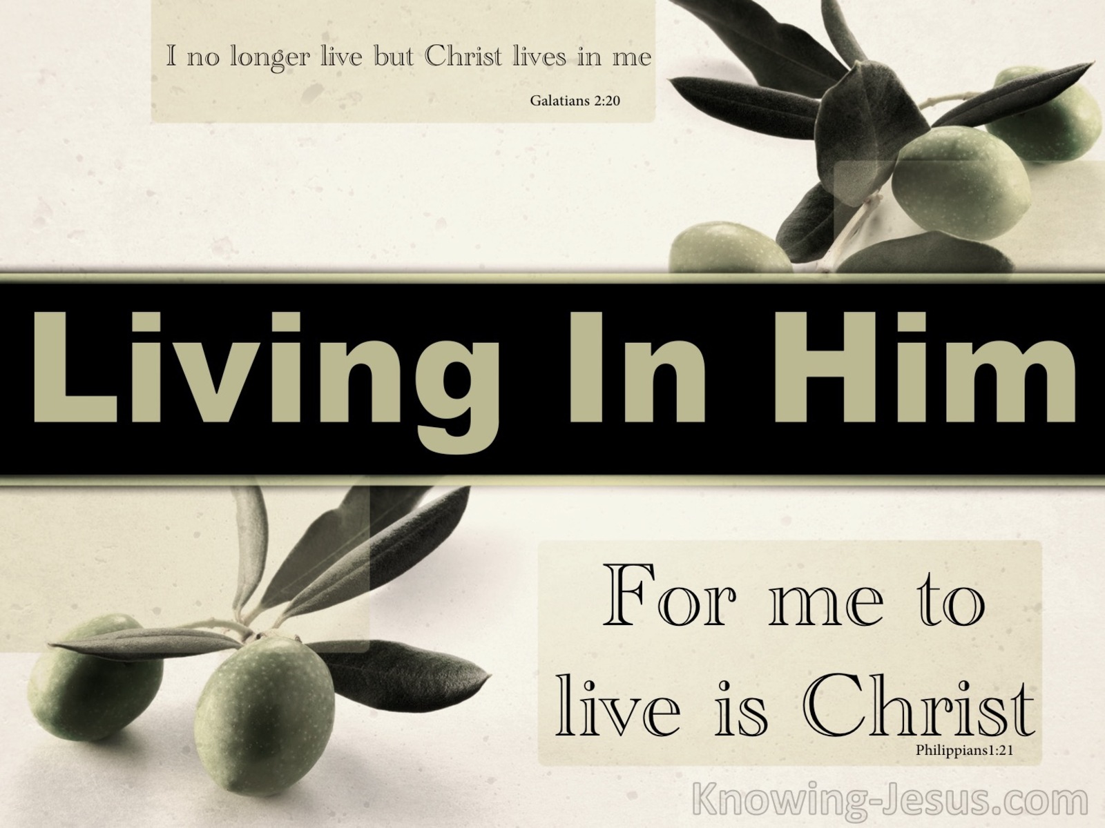 Galatians 2:20 Living in Him (devotional)07-26 (sage)